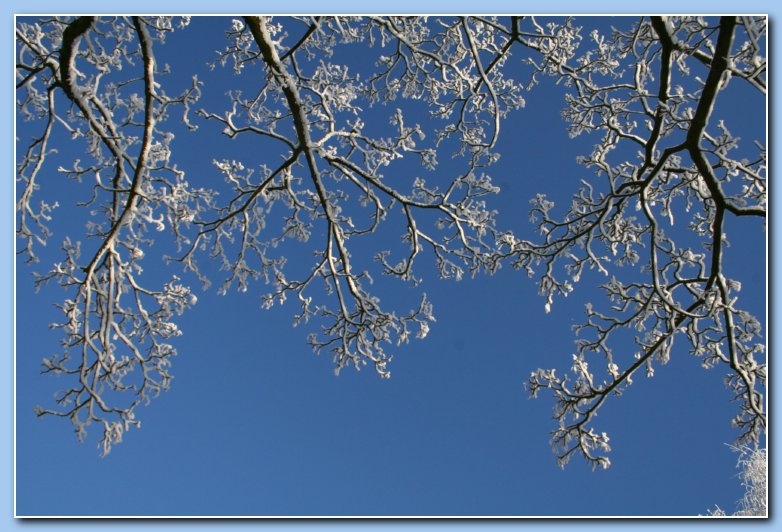 Arnhem Snow 168